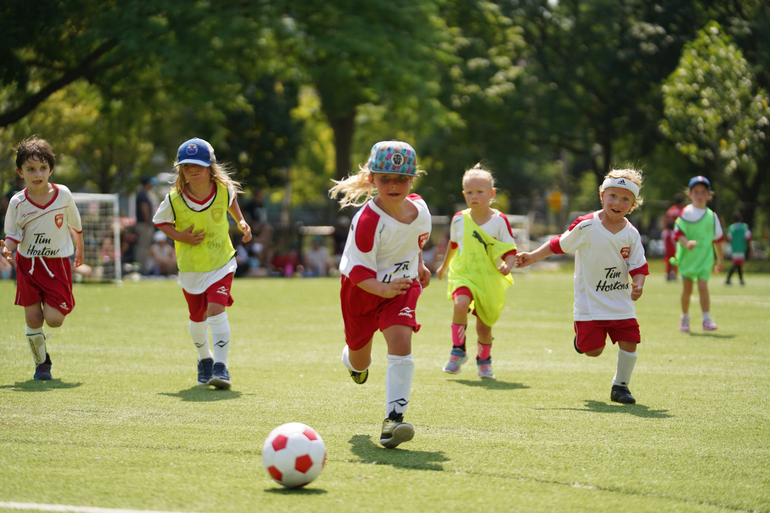 (Etobicoke) Summer Recreation Programs 2026